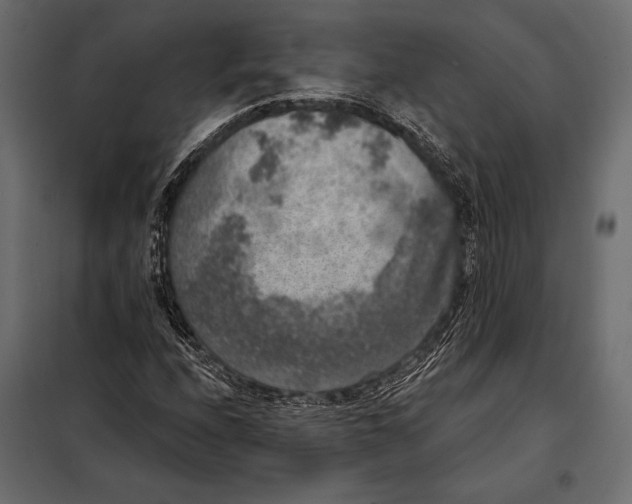 X0000098071208200804251430