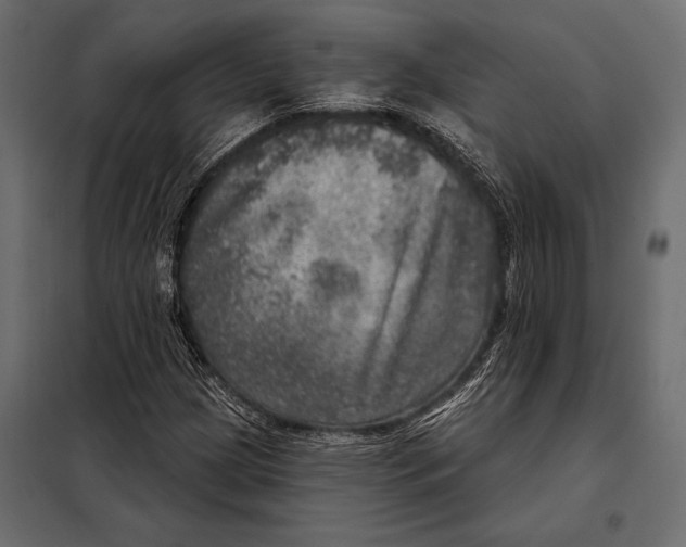 X0000098071209200804251430