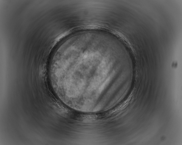 X0000098071210200804251430