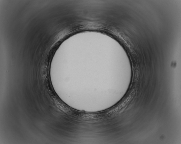 X0000098071211200804251430