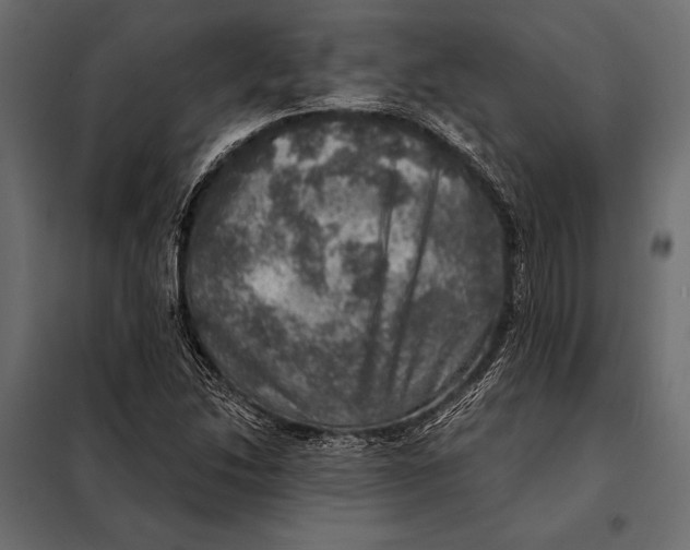 X0000098071214200804251430