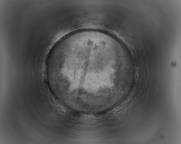 X0000098071215200804251430