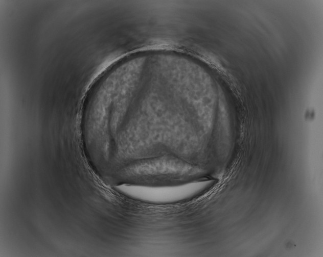 X0000098071216200804251430