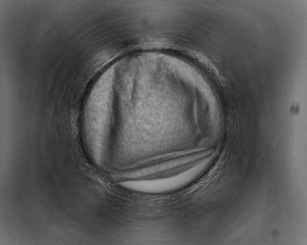 X0000098071217200804251430