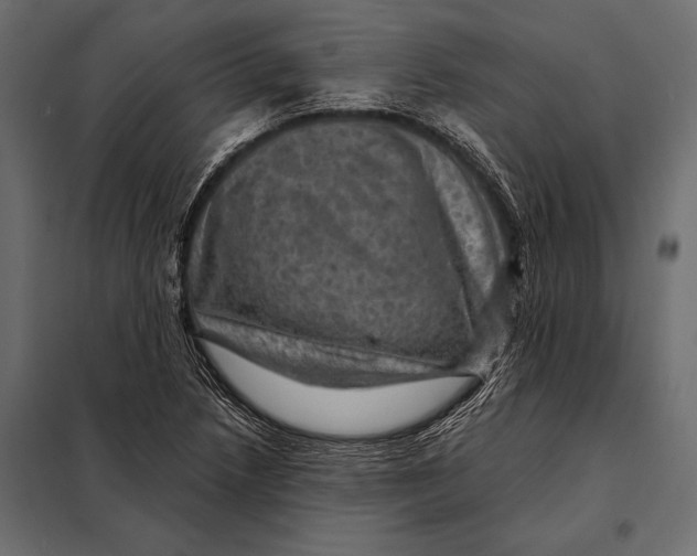 X0000098071218200804251430