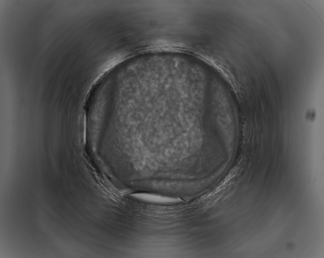 X0000098071219200804251430