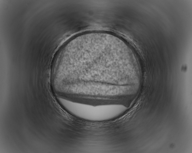 X0000098071220200804251430