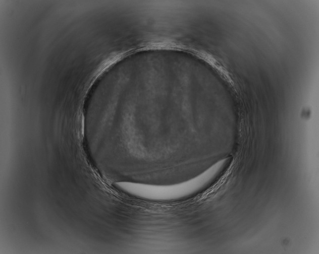 X0000098071221200804251430