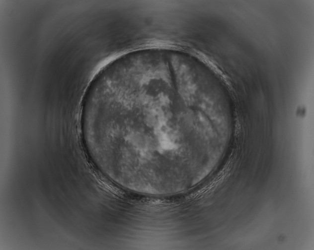 X0000098071222200804251430