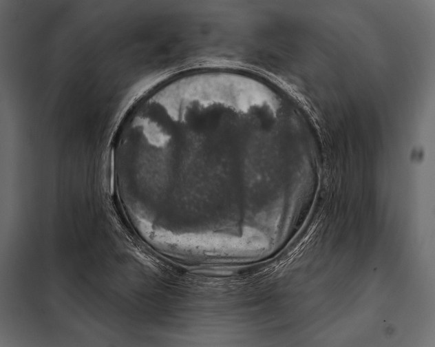 X0000098071223200804251430