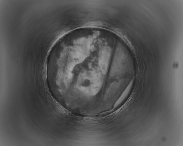 X0000098071224200804251430