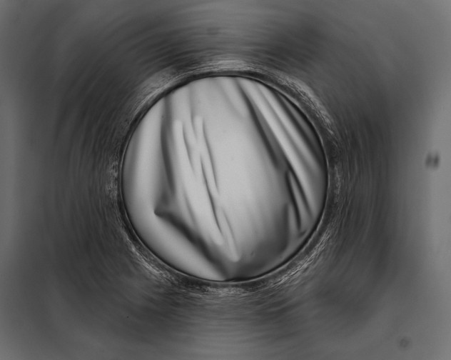 X0000098071225200804251430