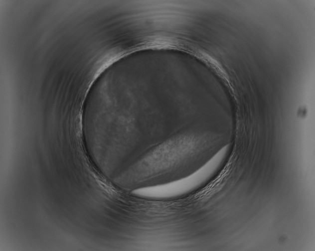 X0000098071226200804251430