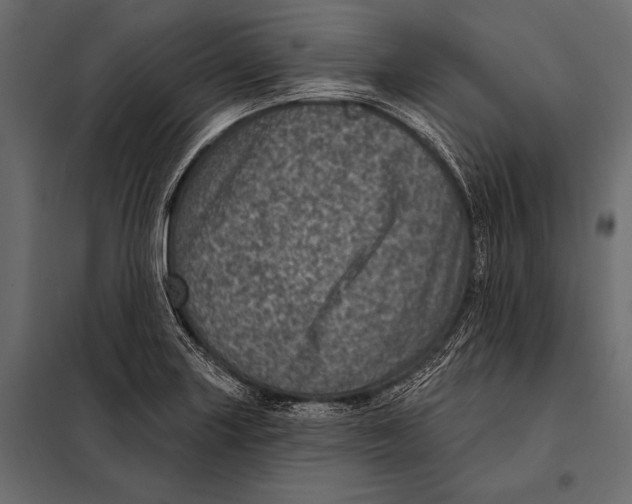 X0000098071227200804251430