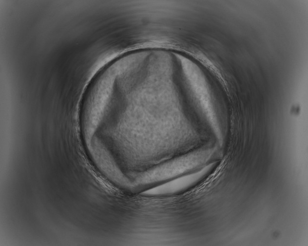 X0000098071230200804251431