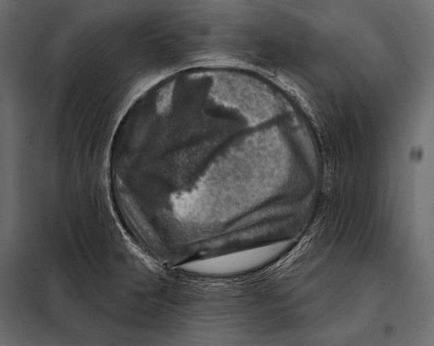 X0000098071231200804251431