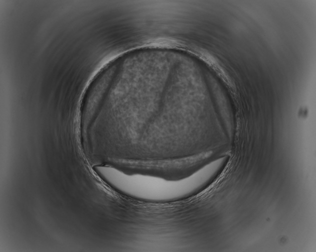 X0000098071232200804251431