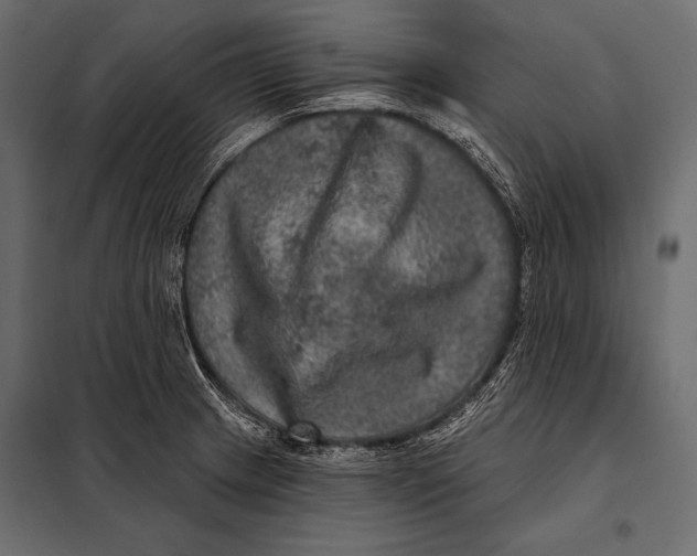 X0000098071233200804251431