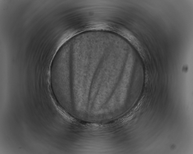 X0000098071234200804251431