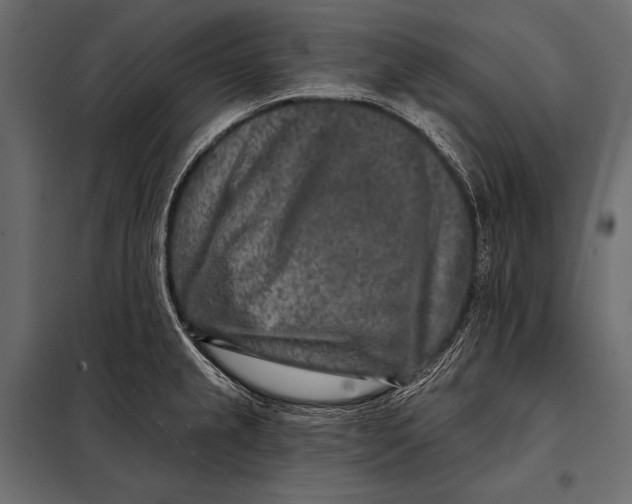 X0000098071237200804251431