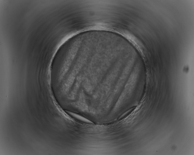 X0000098071238200804251431