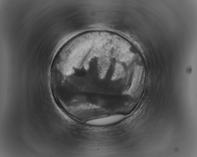 X0000098071239200804251431