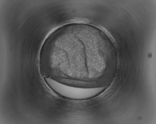 X0000098071240200804251431