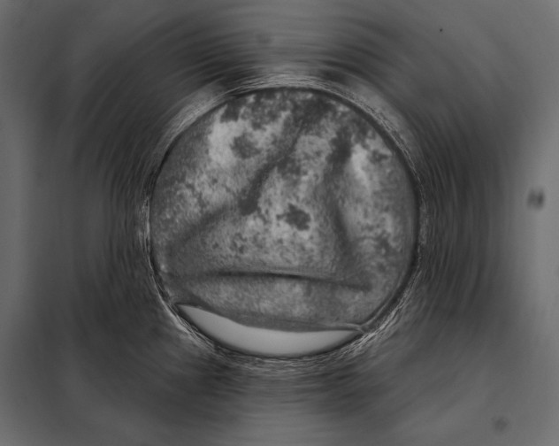 X0000098071241200804251431