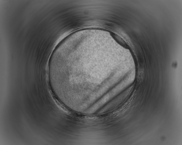 X0000098071242200804251431