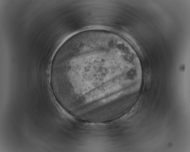 X0000098071244200804251431