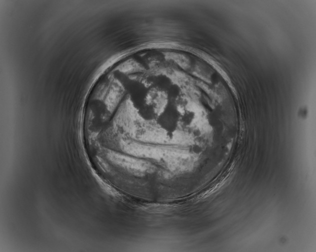 X0000098071245200804251431