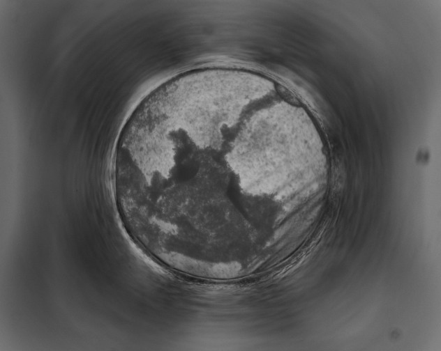 X0000098071247200804251431