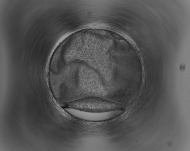 X0000098071248200804251431