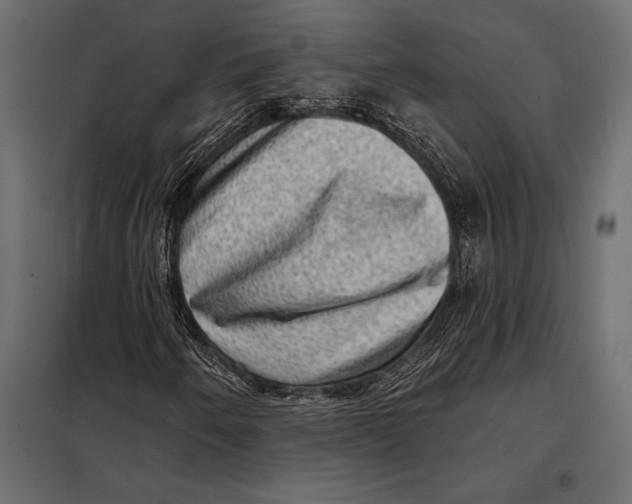 X0000098071250200804251430