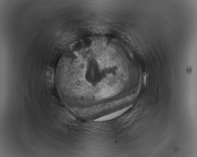 X0000098071251200804251430