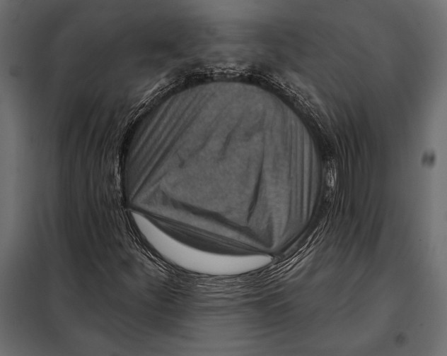 X0000098071252200804251430