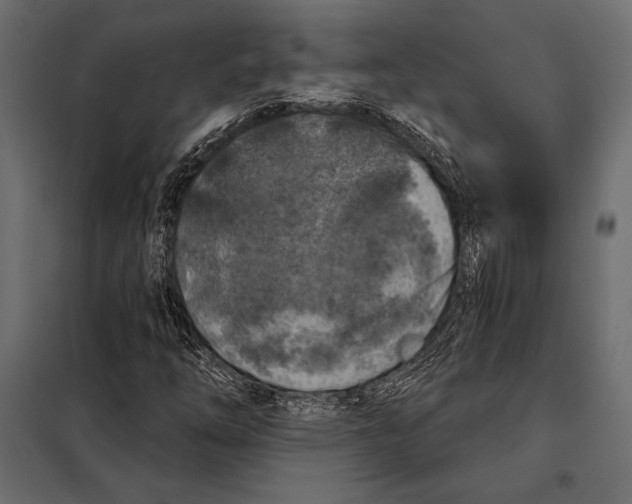 X0000098071254200804251430