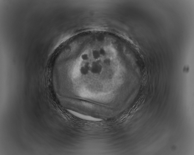 X0000098071255200804251430