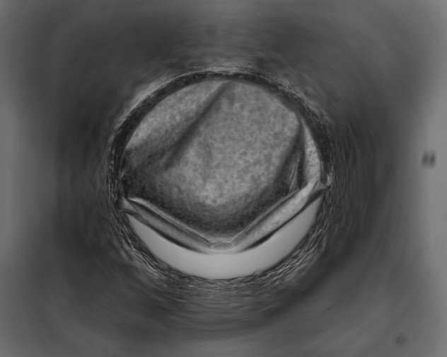 X0000098071256200804251430