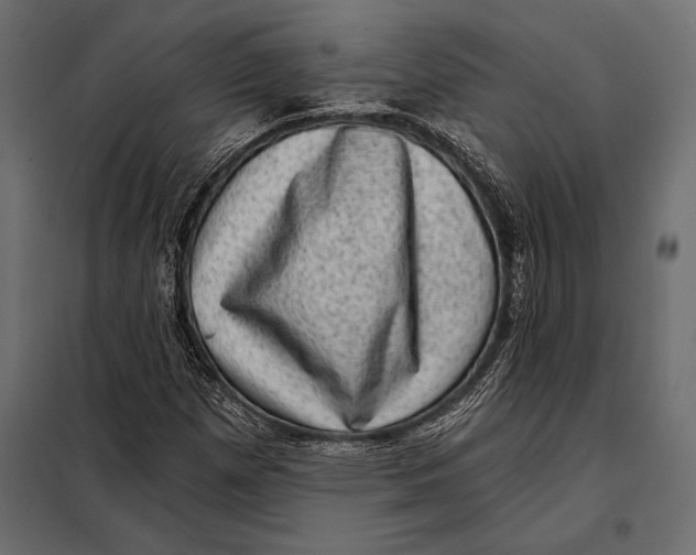 X0000098071257200804251430