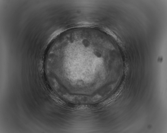 X0000098071259200804251430