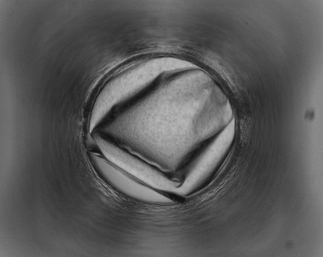 X0000098071260200804251430