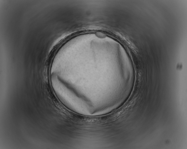 X0000098071262200804251430