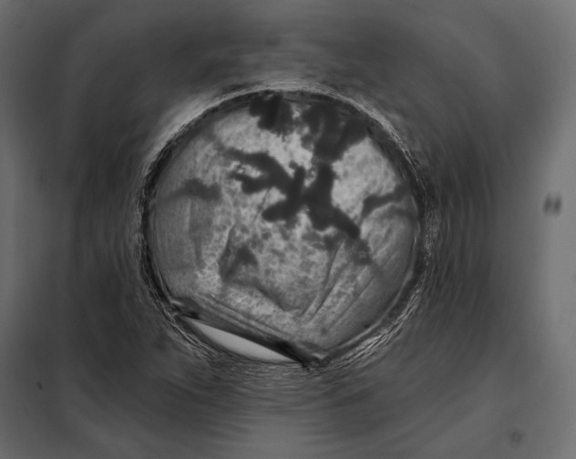 X0000098071263200804251430