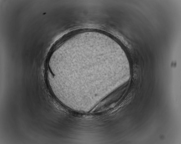 X0000098071264200804251430