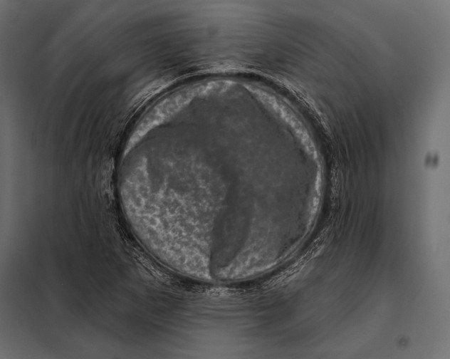 X0000098071265200804251430