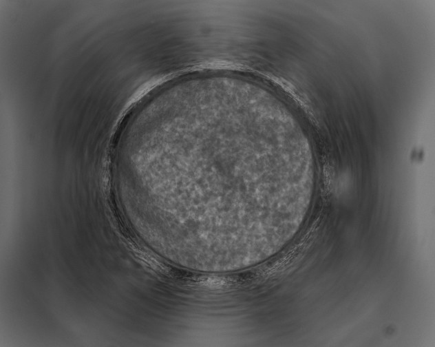 X0000098071266200804251430