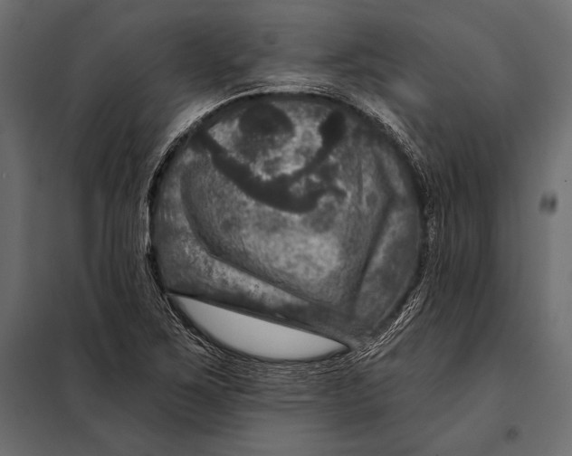 X0000098071267200804251430