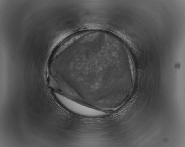 X0000098071269200804251430