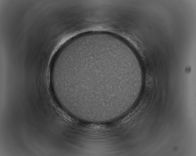 X0000098071270200804251430